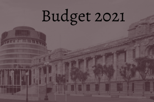 Budget 2021 Sepia
